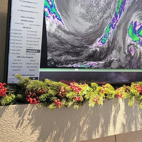 Garland - Picture 2 of 9